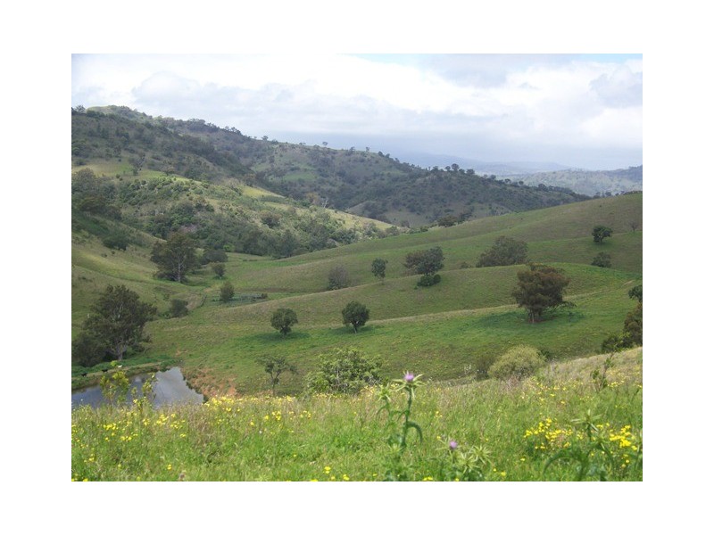 Wallaby Creek Dalvey Road, Rouchel, Scone NSW 2337