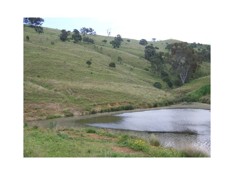 Wallaby Creek Dalvey Road, Rouchel, Scone NSW 2337