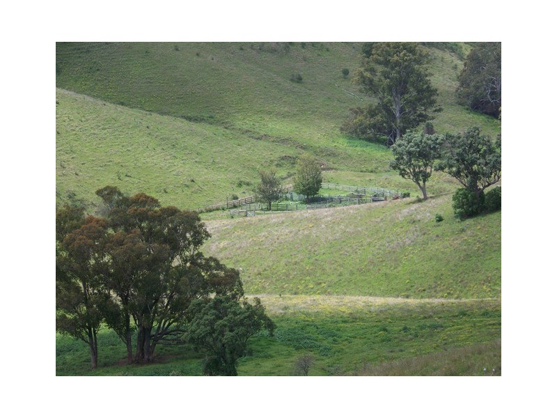 Wallaby Creek Dalvey Road, Rouchel, Scone NSW 2337