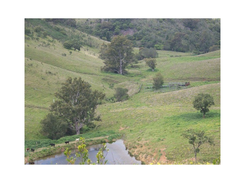 Wallaby Creek Dalvey Road, Rouchel, Scone NSW 2337