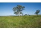 Woodlands Halls Road, Aberdeen NSW 2336