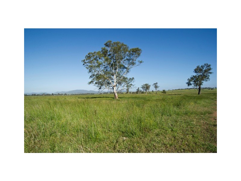 Woodlands Halls Road, Aberdeen NSW 2336