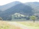 BACK CREEK, Carters Rd, Quirindi NSW 2343