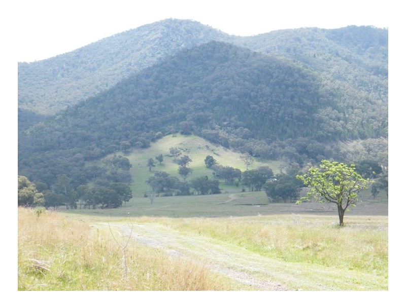BACK CREEK, Carters Rd, Quirindi NSW 2343