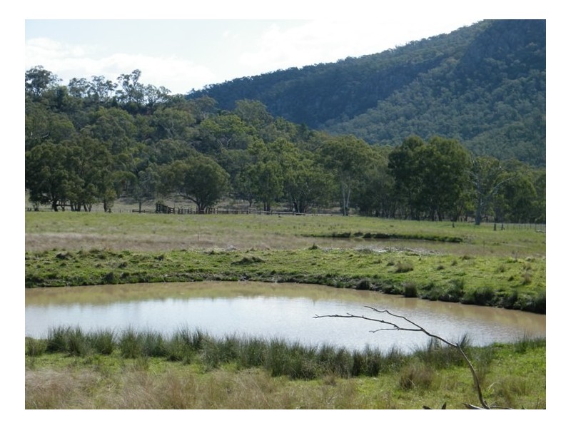 BACK CREEK, Carters Rd, Quirindi NSW 2343