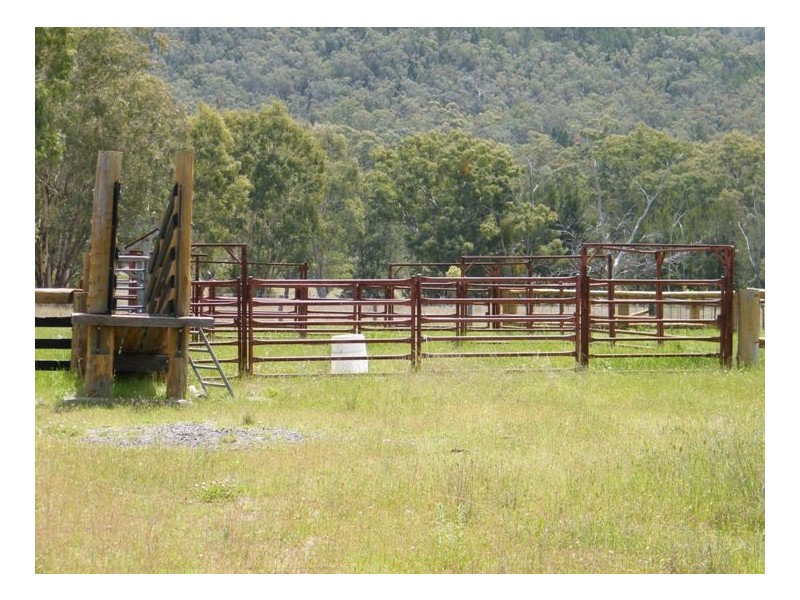 BACK CREEK, Carters Rd, Quirindi NSW 2343