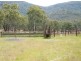 BACK CREEK, Carters Rd, Quirindi NSW 2343