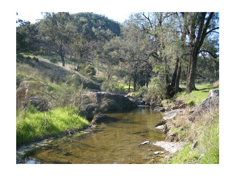 BACK CREEK, Carters Rd, Quirindi NSW 2343