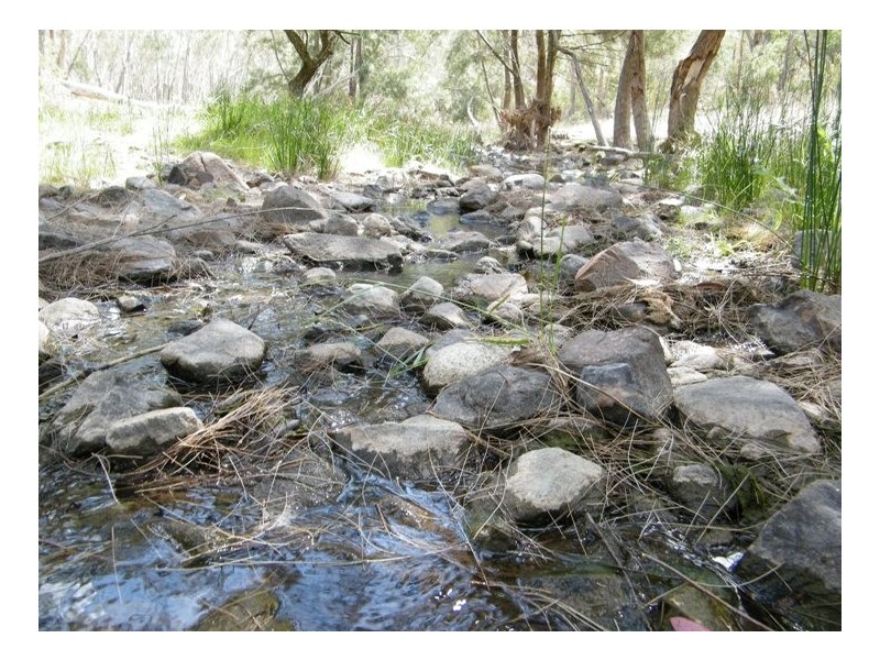 BACK CREEK, Carters Rd, Quirindi NSW 2343