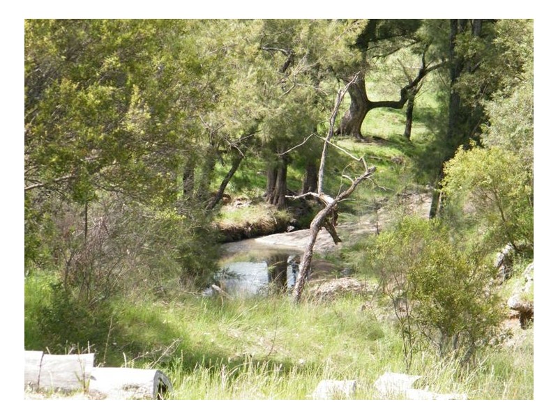 BACK CREEK, Carters Rd, Quirindi NSW 2343