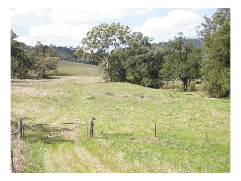 BACK CREEK, Carters Rd, Quirindi NSW 2343