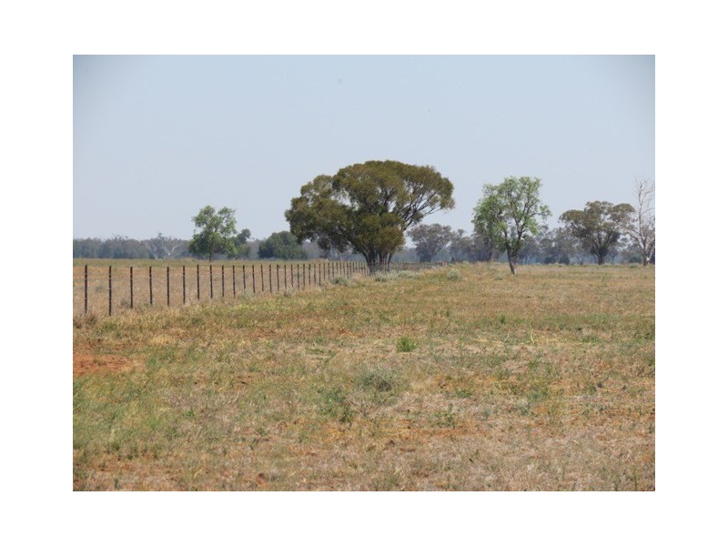 ”Dragon” Merrigal Road, Collie NSW 2827