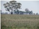 ”Dragon” Merrigal Road, Collie NSW 2827