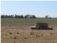 ”Dragon” Merrigal Road, Collie NSW 2827