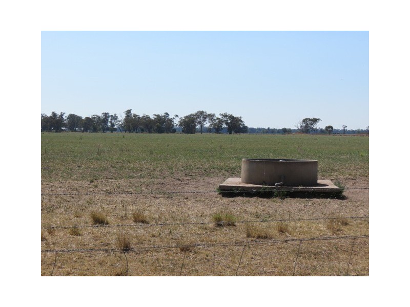 ”Dragon” Merrigal Road, Collie NSW 2827