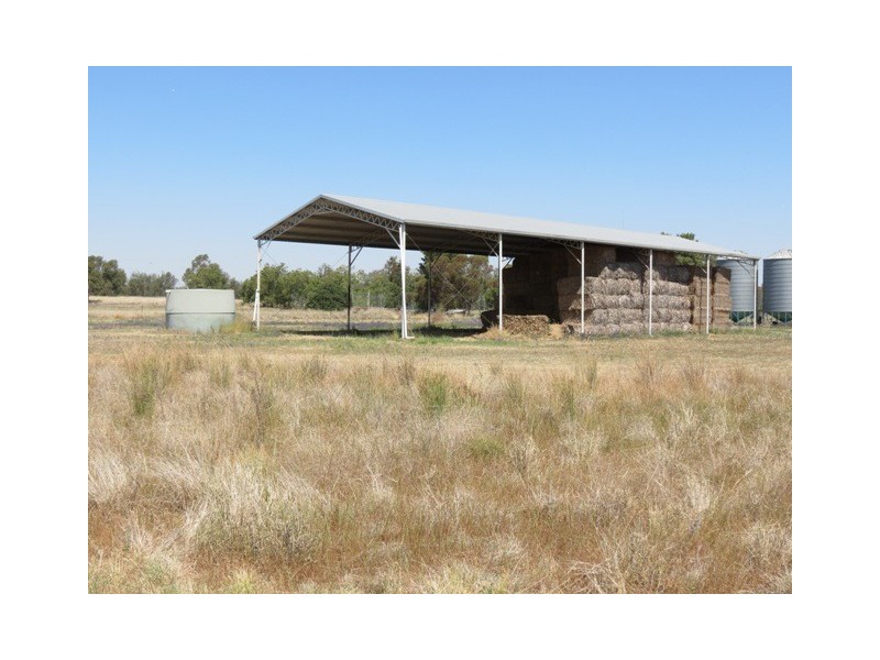 ”Dragon” Merrigal Road, Collie NSW 2827