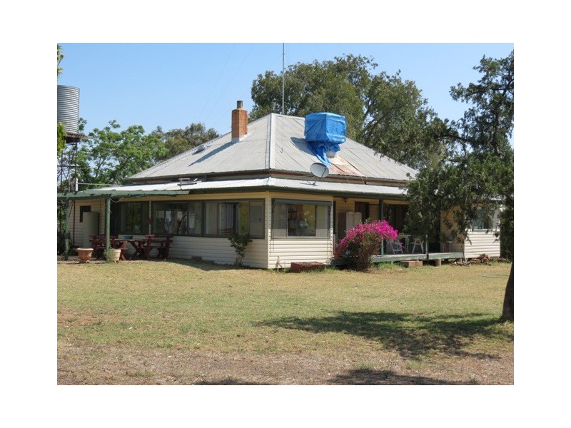 ”Dragon” Merrigal Road, Collie NSW 2827