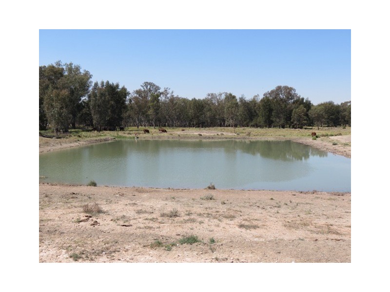”Dragon” Merrigal Road, Collie NSW 2827