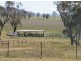 Quirindi NSW 2343