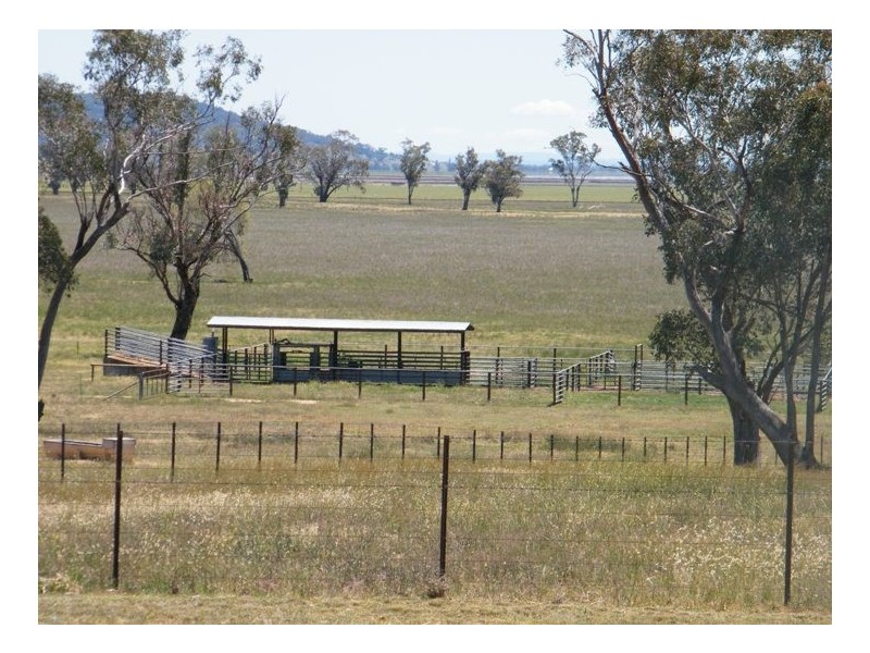 Quirindi NSW 2343