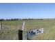 ONE DAY Gwydir Highway, Warialda NSW 2402
