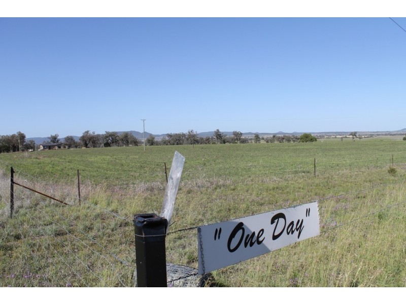 ONE DAY Gwydir Highway, Warialda NSW 2402