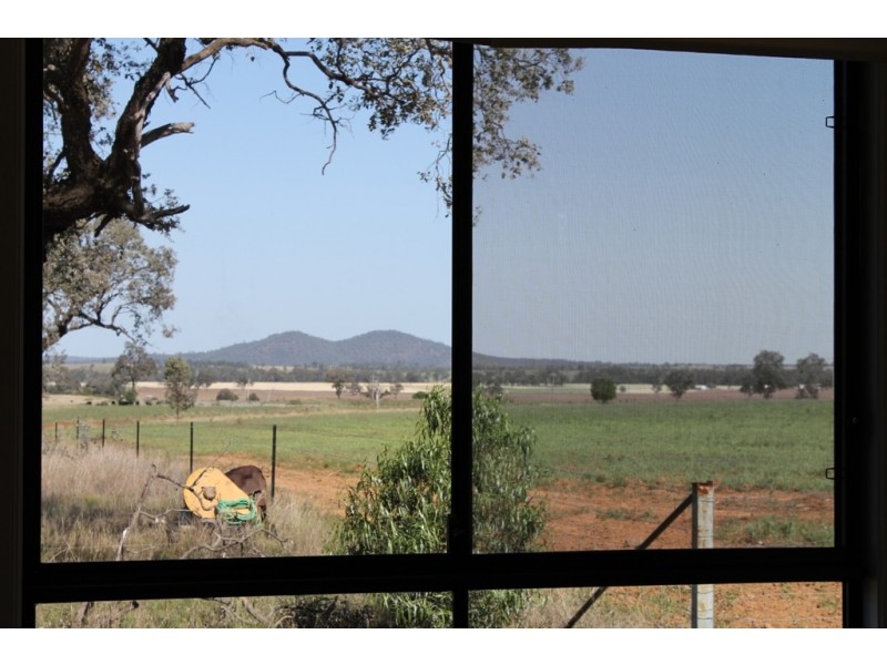 ONE DAY Gwydir Highway, Warialda NSW 2402