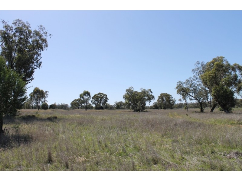 ONE DAY Gwydir Highway, Warialda NSW 2402