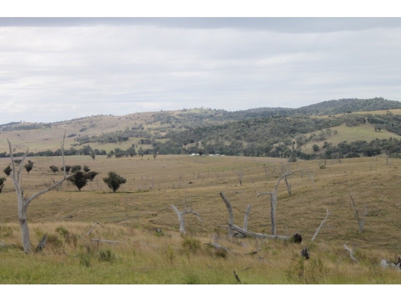 SABRINA Pindari Dam Road, Ashford NSW 2361