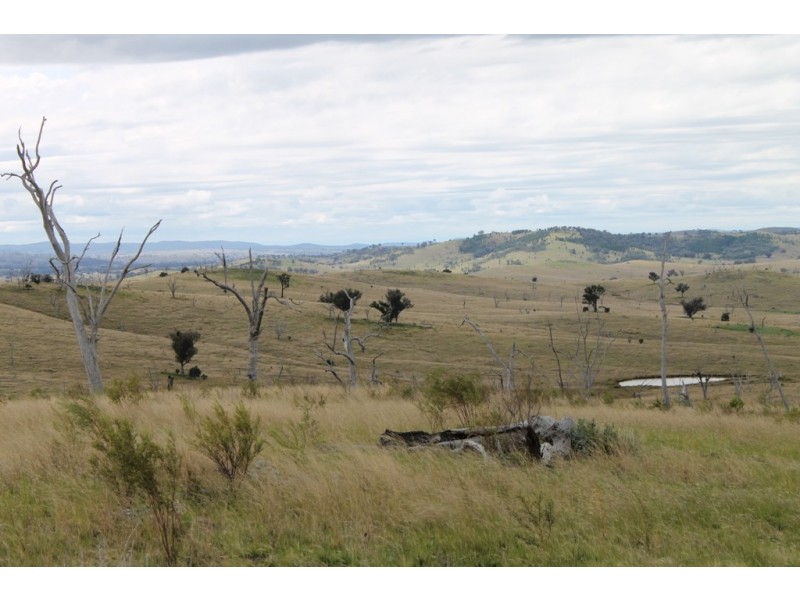 SABRINA Pindari Dam Road, Ashford NSW 2361