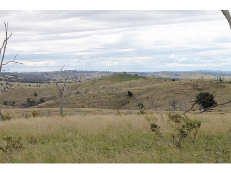 SABRINA Pindari Dam Road, Ashford NSW 2361