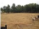 Baradine NSW 2396