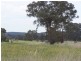 Manildra Road, Molong NSW 2866