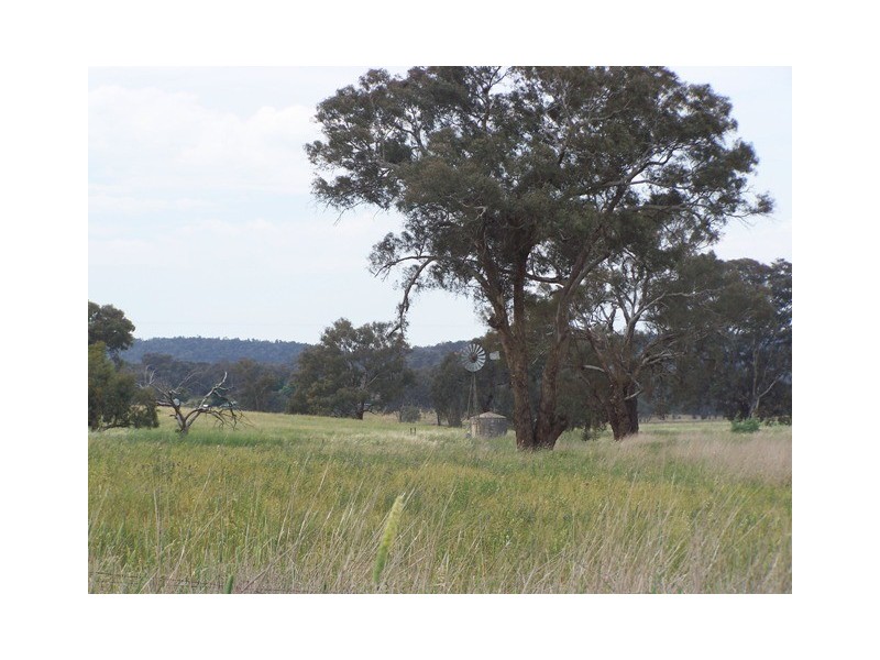 Manildra Road, Molong NSW 2866