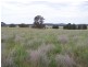 Manildra Road, Molong NSW 2866