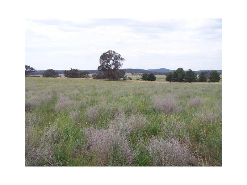 Manildra Road, Molong NSW 2866