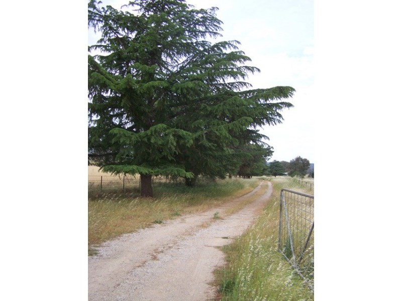 Manildra Road, Molong NSW 2866