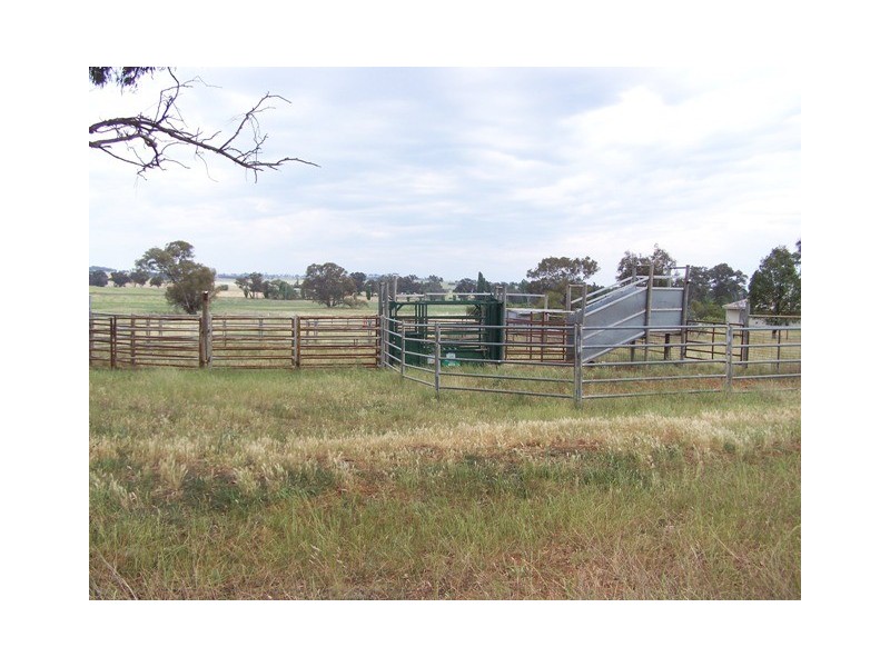 Manildra Road, Molong NSW 2866