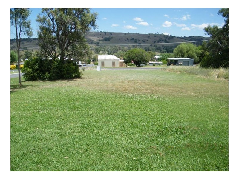 22 Learmonth Street, Willow Tree NSW 2339