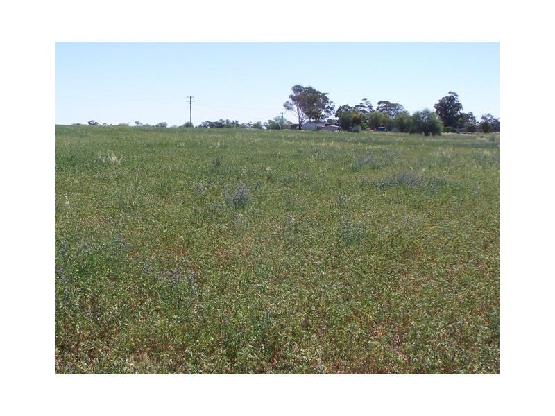 26L Falls Road, Dubbo NSW 2830