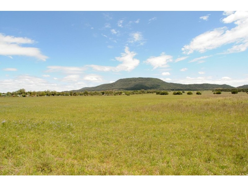 Poplar Grove Wandobah Rd, Gunnedah NSW 2380