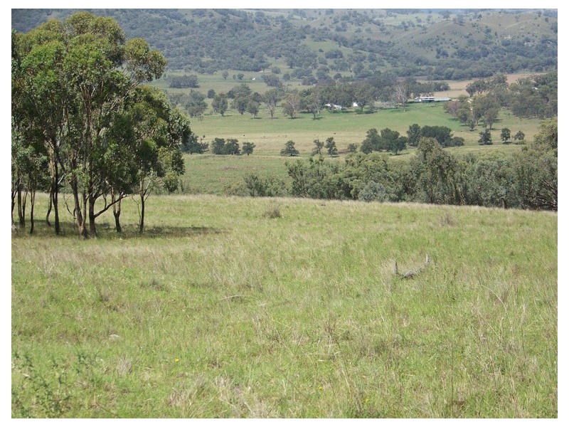 . Borambil Creek Road, Willow Tree NSW 2339