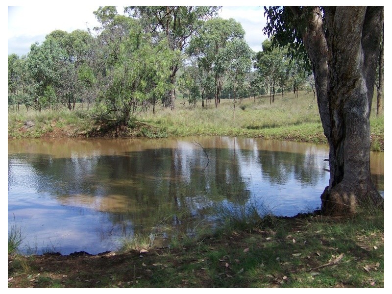 . Borambil Creek Road, Willow Tree NSW 2339