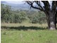 . Borambil Creek Road, Willow Tree NSW 2339