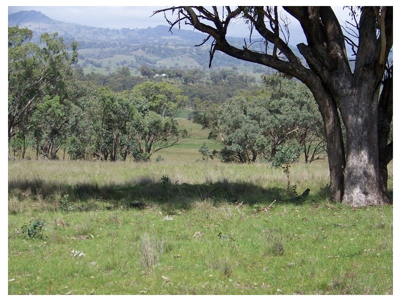 . Borambil Creek Road, Willow Tree NSW 2339
