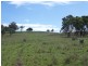 . Borambil Creek Road, Willow Tree NSW 2339