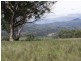 . Borambil Creek Road, Willow Tree NSW 2339