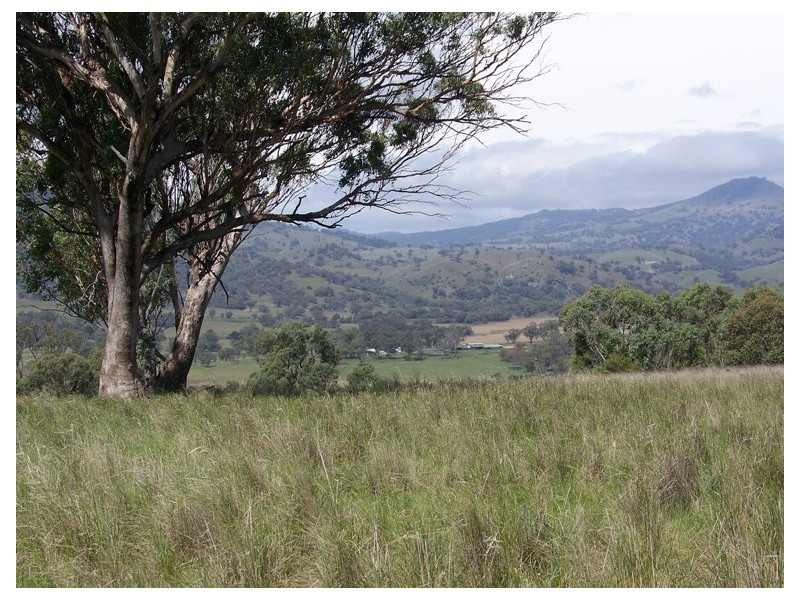 . Borambil Creek Road, Willow Tree NSW 2339