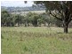 . Borambil Creek Road, Willow Tree NSW 2339