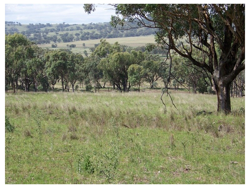 . Borambil Creek Road, Willow Tree NSW 2339